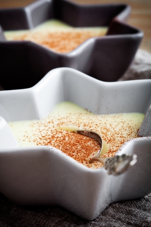 Close up of vanilla pudding with cocoa powderの写真素材