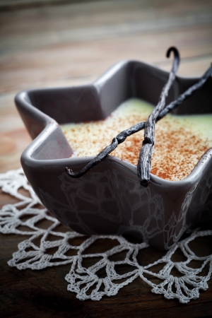 Close up of vanilla pudding with cocoa powderの写真素材