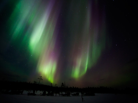 Beautiful Northern lights in Lapland of Finlandの写真素材