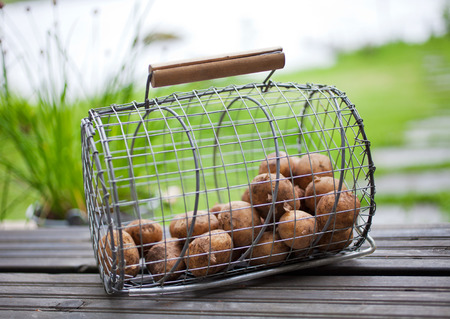 Preparing potatoes for homemade mealの写真素材