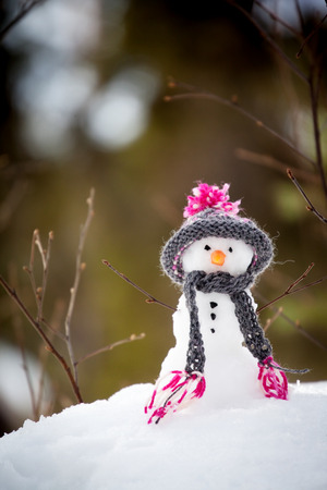 Snowman with handmade hat and scarfの写真素材