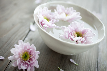 Bowl of water with pink flowersの写真素材