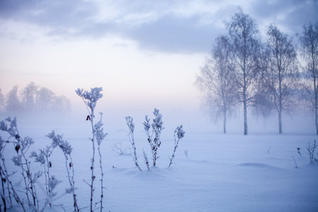 Beautiful foggy sunset in winter wonderland Finlandの写真素材