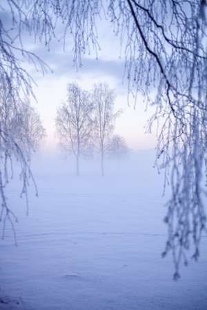 Beautiful foggy sunset in winter wonderland Finlandの写真素材