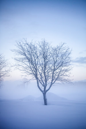 Beautiful foggy sunset in winter wonderland Finlandの写真素材