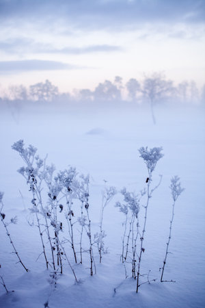 Beautiful foggy sunset in winter wonderland Finlandの写真素材