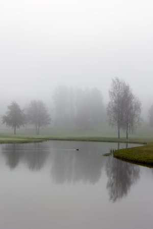 Foggy moorning in the golf courseの写真素材