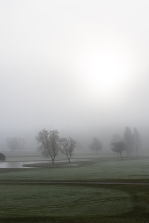 Foggy moorning in the golf courseの写真素材