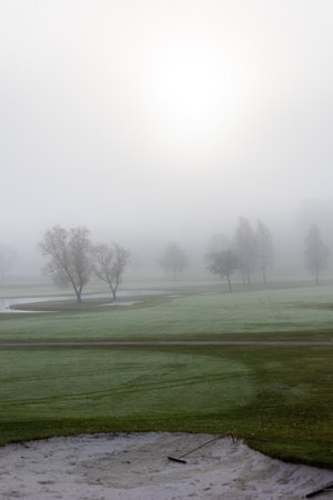 Foggy moorning in the golf courseの写真素材