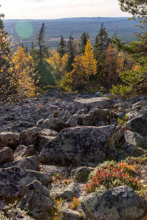 Breathtaking beauty of Finnish Lapland during the peak of autumn foliageの写真素材