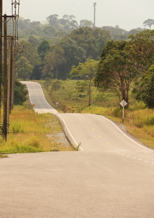Forest road in Khaoyai National Park, Thailandの写真素材