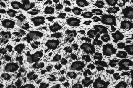 Texture of tiger fabricの写真素材