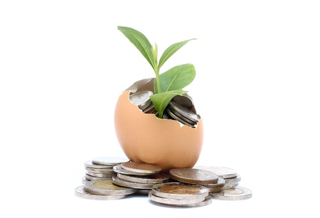 Money tree growing from the coins inside egg   Money financial concept の写真素材