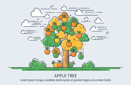 Apple tree. Season collecting apples. Thin lines vector illustration.のイラスト素材