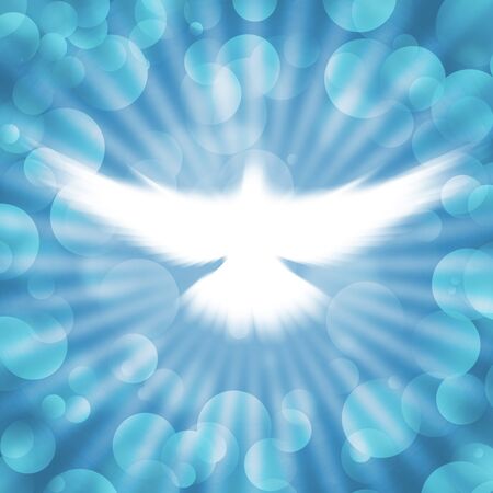 shining dove with rays on a dark golden backgroundの写真素材