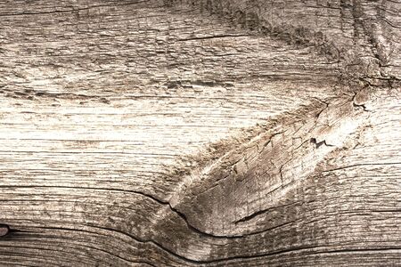 the brown wood texture with natural patterns 