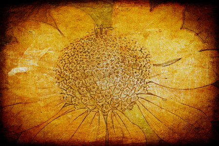 sunflower on grunge paper texture with space for text or image