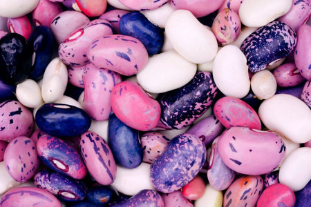 Colorful beans background. Close up of speckled beans.の写真素材