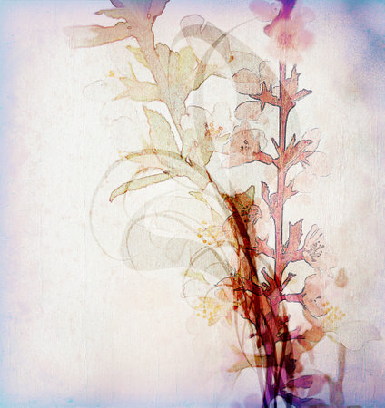 Grunge floral background with space for text or image. For art texture, grunge design, and vintage paper or border frameの写真素材