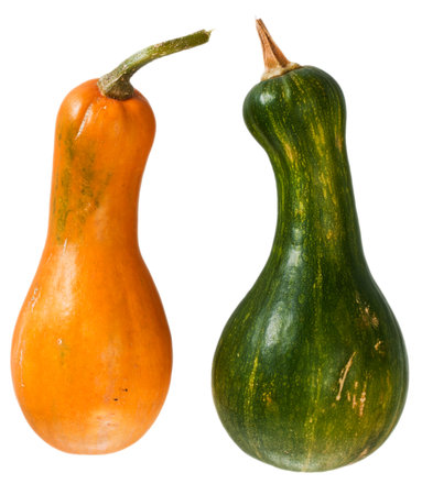 Orange and green squash isolated on white background. Clipping Pathの写真素材