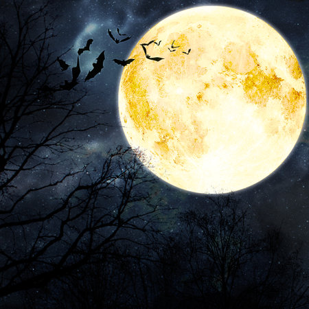 Halloween background with full moon and bats. Space for your textの写真素材