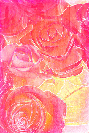 red rose watercolor on paper texture, background for scrapbookingの写真素材
