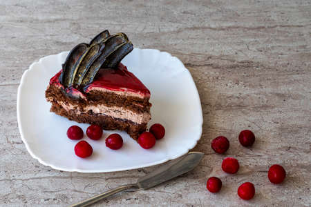 A piece of chocolate cake with cherries. Cake side view on a beige background. copyspace.