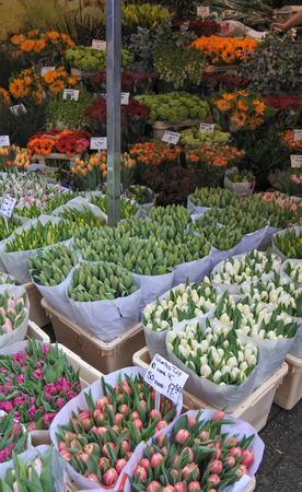 Tulips for saleの写真素材