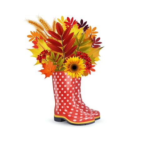 Illustration of fashion red dotted rubber boots, bouquet of autumn leaves.のイラスト素材