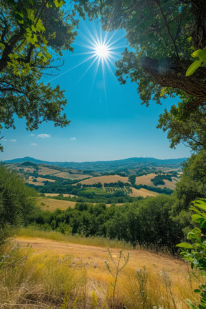 Sun shining through the trees over a beautiful landscape of green hills and valleysの素材