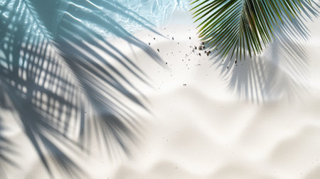 Palm tree shadow on white sand beach with blue ocean water in backgroundの素材