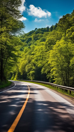 The road through the green forestの素材