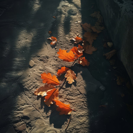 fallen brown oak leaves on the ground illuminated by sunlightの素材