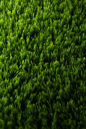Close-up of green grass texture backgroundの素材