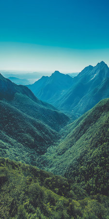 Aerial View of Mountains and Forests in Blue Skyの素材