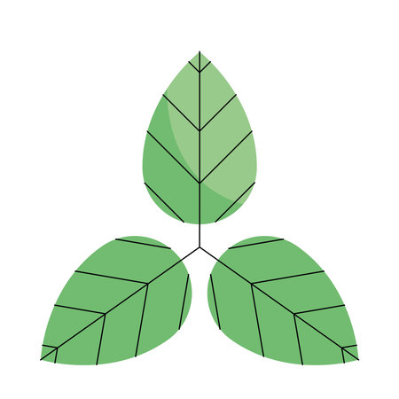 Minimal Flat Design Eco Leaf