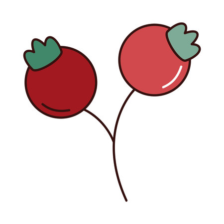 Collection of Simple Cherry Fruit Vector Icons in Flat Styleのイラスト素材