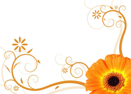 fresh orange gerbera blossom with illustrated floral designの写真素材