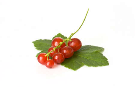 tasty isolated redcurrants on two green leavesの写真素材