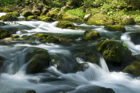 rapids with stones and moss in austriaの写真素材