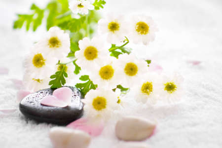 stone with water drips and shiny blossoms and petalsの写真素材