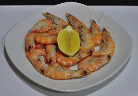 Plate of prawns and half a lemonの写真素材