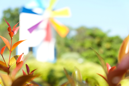 Red and green leaf with colorful windmill blurred backgroundの写真素材