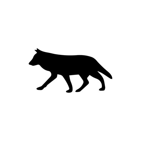 Silhouette of a wolf on a white background. Vector illustration