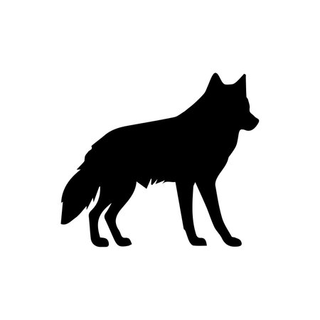 Black silhouette of a wolf on a white background. Vector illustration.のイラスト素材