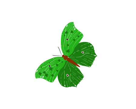 Green butterfly isolated on white background. Vector illustration in flat style.のイラスト素材