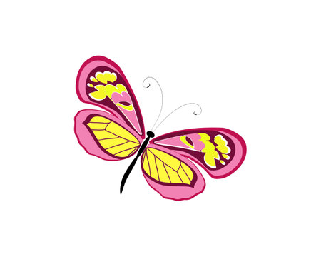 beautiful pink butterflies, isolated  on a white  background.のイラスト素材