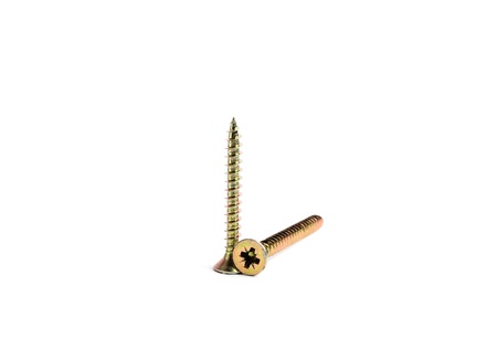 Two screws isolated on white background