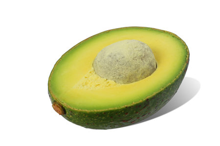 Avocado cut in half isolated  white background   .