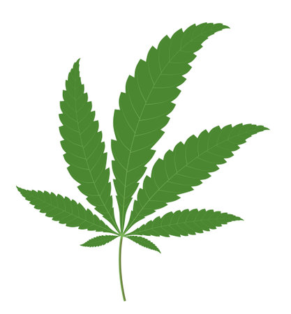 Marijuana leaf isolated on white background. Cannabis leaves vector illustration.のイラスト素材